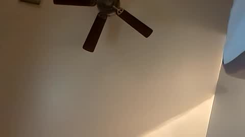 sterng123 online show from 10/20/25, 03:51