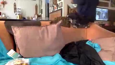 Snapshot of stevemason718 chatting on 02/25/25, 08:51 STEVE CASHMASTER 1comedia online show from 02/25/25, 08:51