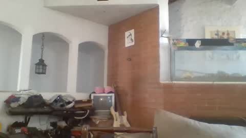 Snapshot of stevenson988 chatting on 02/15/25, 06:44 stevenson988 online show from 02/15/25, 06:44