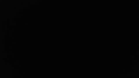 Snapshot of stewpididiot chatting on 10/02/25, 12:39 Stew Pididiot online show from 10/02/25, 12:39