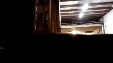 Oval2022 online show from 12/16/24, 12:48