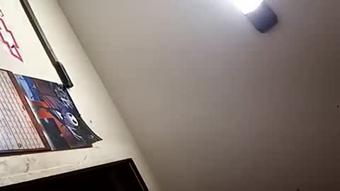 Oval2022 online show from 01/01/25, 01:16