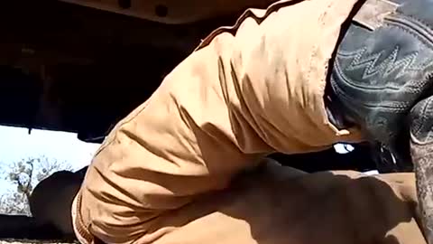 Oval2022 online show from 01/01/25, 06:16