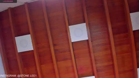 Stone Lee  online show from 01/22/25, 01:53