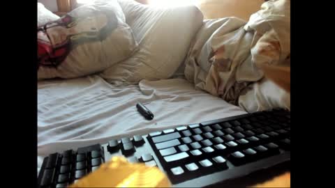 strawboy300 online show from 01/17/25, 07:38