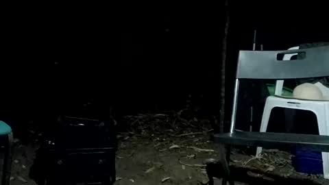 Bigdickdugan online show from 02/12/25, 01:06