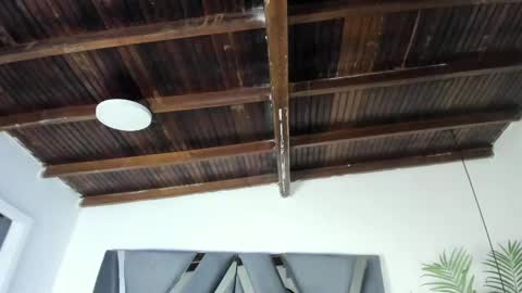 Alexa   online show from 04/07/26, 10:59