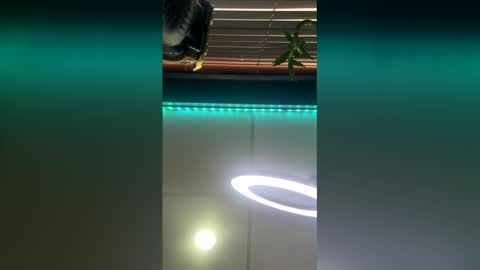 strong_rock69 online show from 03/28/26, 10:42