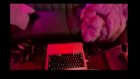 Snapshot of studio4three chatting on 02/26/25, 11:20 studio4three online show from 02/26/25, 11:20