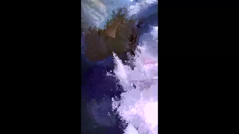 stuffamuffagus69 online show from 05/17/26, 09:33