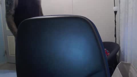 stugang online show from 02/17/26, 09:50