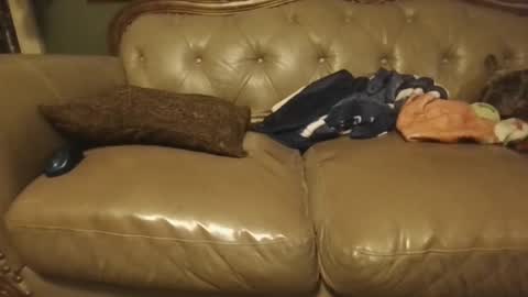 sub_michael41 online show from 01/21/25, 05:05