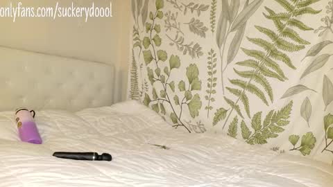 Maya online show from 02/01/26, 03:05