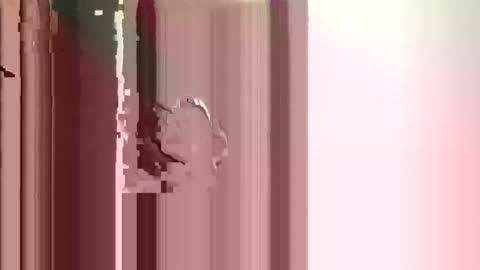 Snapshot of suckmeoffuk chatting on 12/17/25, 02:56 JJ online show from 12/17/25, 02:56