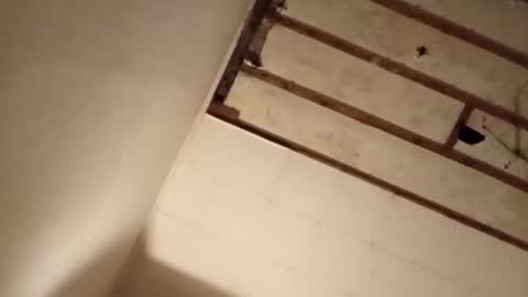 Snapshot of suckmeplease70 chatting on 11/02/25, 07:55 suckmeplease70 online show from 11/02/25, 07:55