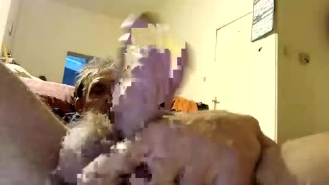 suckmeplease70 online show from 04/26/26, 04:21