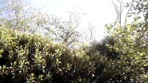 sucrette5629 online show from 04/25/26, 01:14