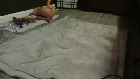 Suga cookie online show from 12/09/24, 04:56