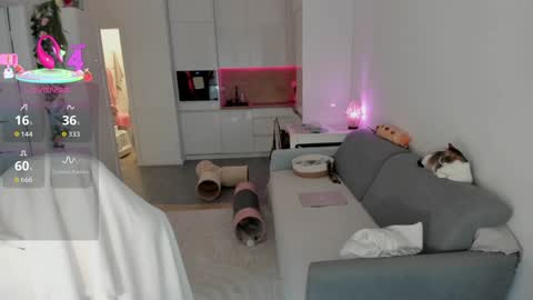 Snapshot of sugar_rainbow chatting on 10/18/25, 10:27 Kinga online show from 10/18/25, 10:27