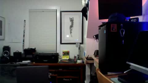 Sugar online show from 04/15/26, 02:07