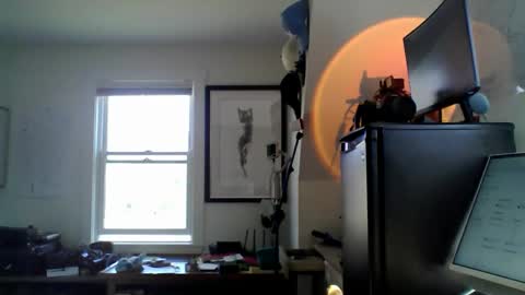 Sugar online show from 04/18/26, 08:42