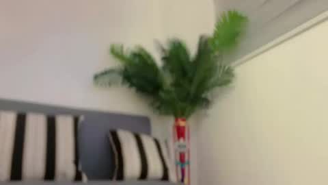 Jess online show from 02/07/25, 07:29