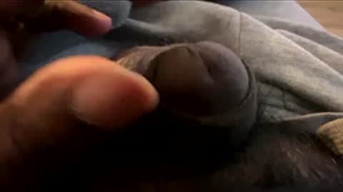 Let me be your knight that saves you online show from 01/07/26, 08:55