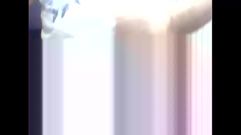 Snapshot of suleyman38 chatting on 02/17/25, 12:16 suleyman38 online show from 02/17/25, 12:16