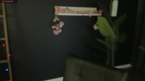 Risha online show from 01/14/25, 12:35