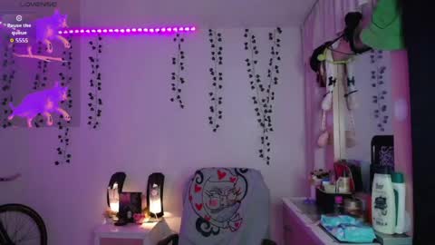 Sunset online show from 04/11/26, 04:39