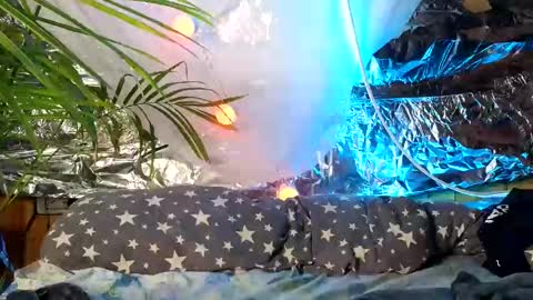 super jony and Marta GMT 1300-1800 every day online show from 10/09/25, 09:51