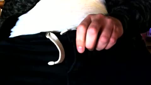 superstuntman1 online show from 02/10/25, 07:36