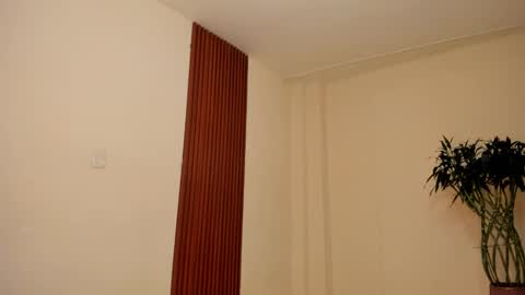 llllSupra llll online show from 12/18/25, 08:04