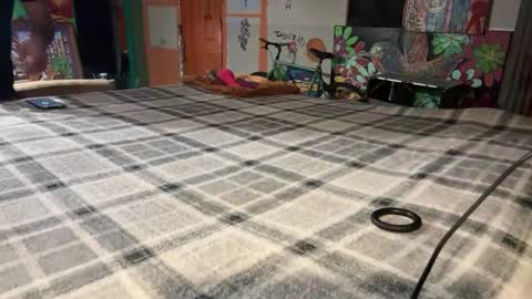 Stony online show from 12/02/24, 10:07