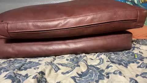 Stony online show from 01/20/25, 11:56