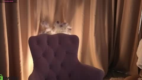 Annie online show from 05/17/26, 06:55