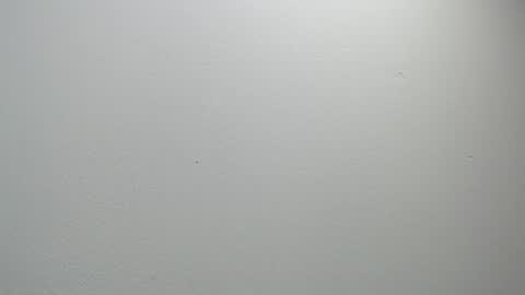 Snapshot of sussy_leon chatting on 02/11/25, 12:05 sussy leon online show from 02/11/25, 12:05