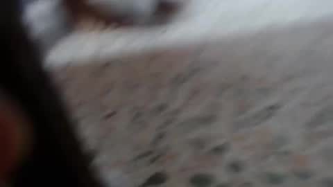 Snapshot of suxxxy_ chatting on 01/29/25, 03:04 Suxxxy online show from 01/29/25, 03:04