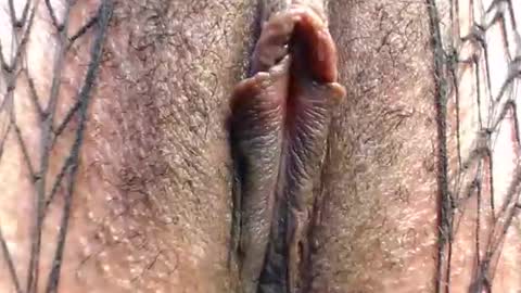 Suzy online show from 04/25/26, 06:27