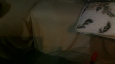 Snapshot of svenjamin9090 chatting on 02/13/25, 09:49 Druffen online show from 02/13/25, 09:49