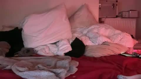 Horny French Arab online show from 03/25/26, 05:24