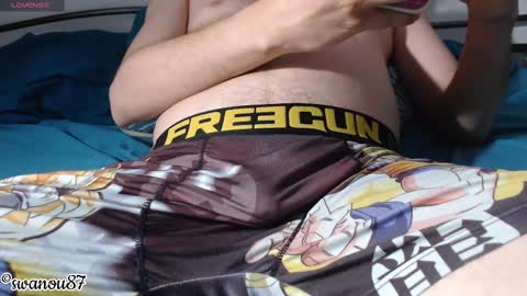 swanou87 online show from 02/19/25, 11:57