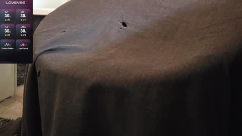 sweaty_hairy_cocks online show from 06/06/26, 06:07