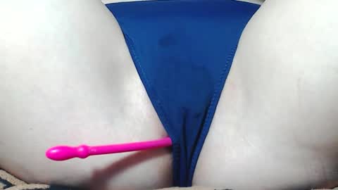 Kitten online show from 04/01/26, 07:53