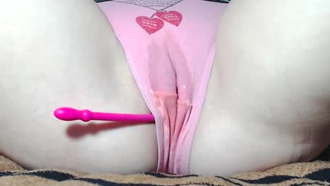 Kitten online show from 04/05/26, 07:38