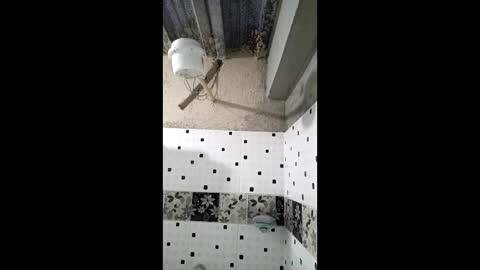 Nhaomy online show from 12/19/25, 08:16