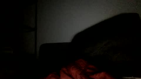 Snapshot of sweet_nutts chatting on 01/20/25, 07:47 sweet_nutts online show from 01/20/25, 07:47