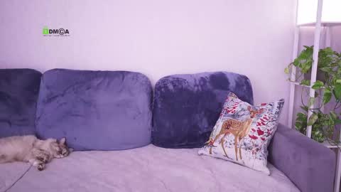 Vicktorious online show from 02/24/25, 08:17