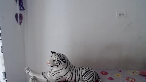 sweetgirsl online show from 04/29/26, 07:20