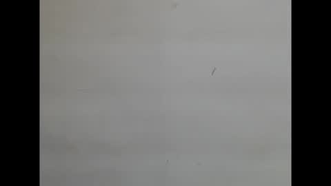 Snapshot of sweetnectarx chatting on 11/08/25, 04:40 sweetnectarx online show from 11/08/25, 04:40